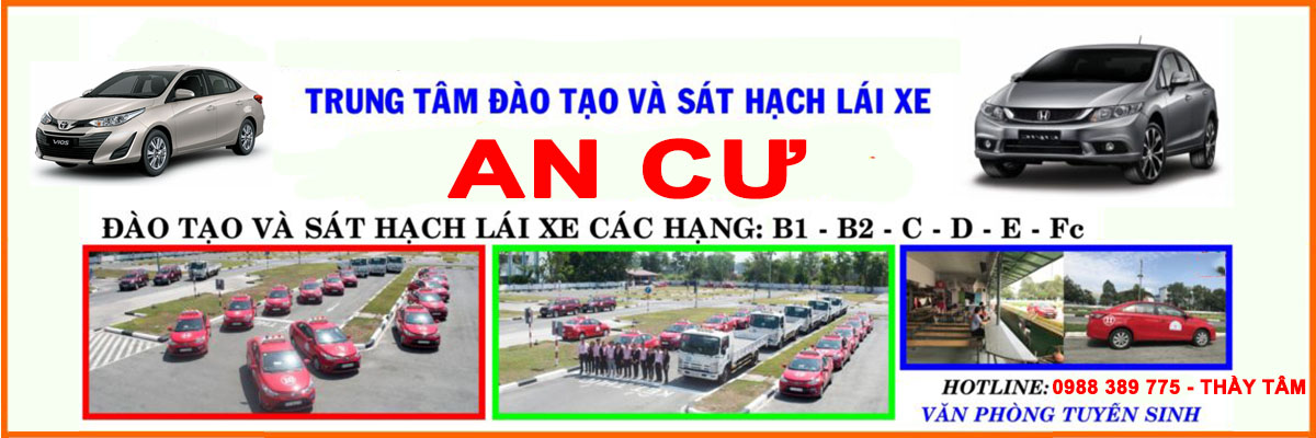 Day Lai Xe O To Binh Duong 2