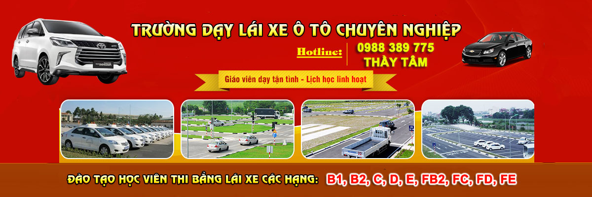 Day Lai Xe O To Binh Duong 3